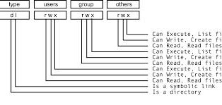 Setting Permission Folder/File Sharing pada Samba dengan CLI